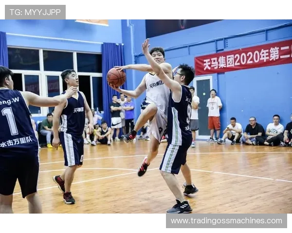 凯发体育集团网址官方入口地址，详细介绍官网登录步骤与安全保障措施