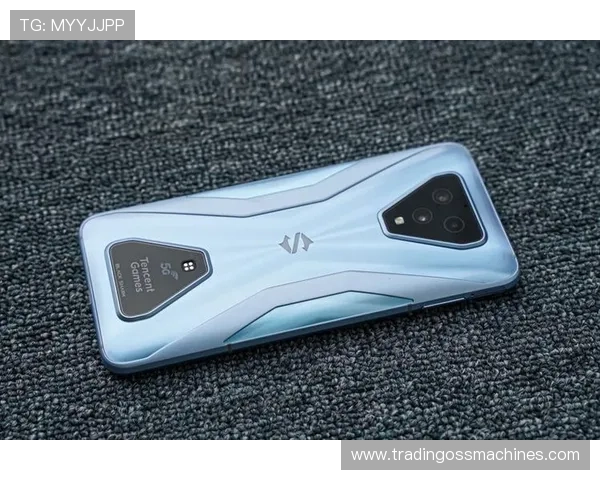 下载凯发娱乐手机版下载享受安全稳定的游戏环境和多样化的娱乐选择