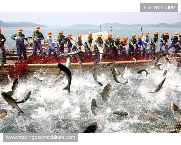 K8捕鱼网的未来发展趋势与新玩法预览助你抢先掌握最新动态