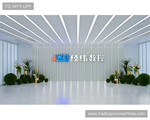 天生赢家一触即发k8：帮助玩家实现从新手到高手的快速成长路径