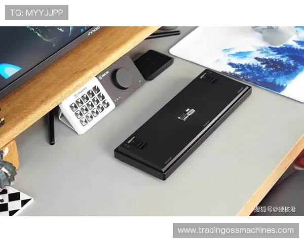 全面解析K8旗舰厅app的安全性与隐私保护措施,保障玩家个人信息安全